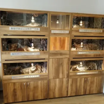 Terarium na míru